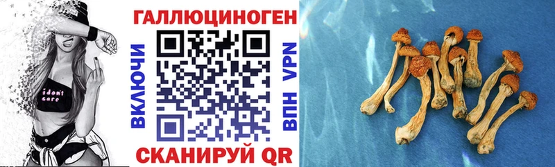 Псилоцибиновые грибы мухоморы  Ачхой-Мартан 