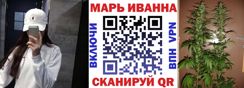 закладка Ачхой-Мартан Каннабис семена